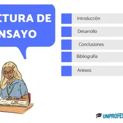 Una estudiante aprende la estructura de un ensayo: introducción, desarrollo, conclusiones, bibliografía y anexos.