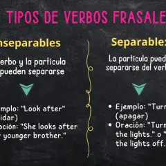 Verbos frasales: inseparables (no se separan) y separables (la partícula puede separarse del verbo). Ejemplos: "look after" y "turn off".