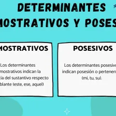 Tipos de determinantes y pronombres: demostrativos (indican distancia) y posesivos (indican pertenencia).