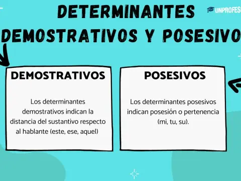 Tipos de determinantes y pronombres con ejemplos claros