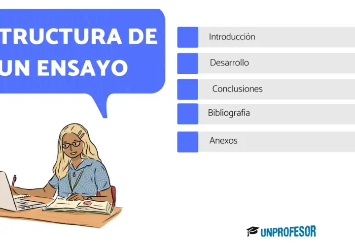 Una estudiante aprende la estructura de un ensayo: introducción, desarrollo, conclusiones, bibliografía y anexos.