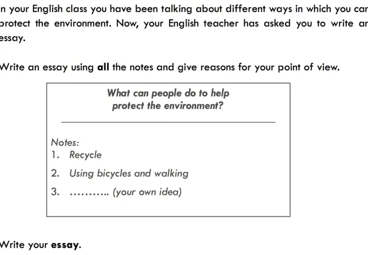 Instrucciones para escribir un ensayo sobre cómo proteger el medio ambiente, con notas sobre reciclar y usar bicicletas.
