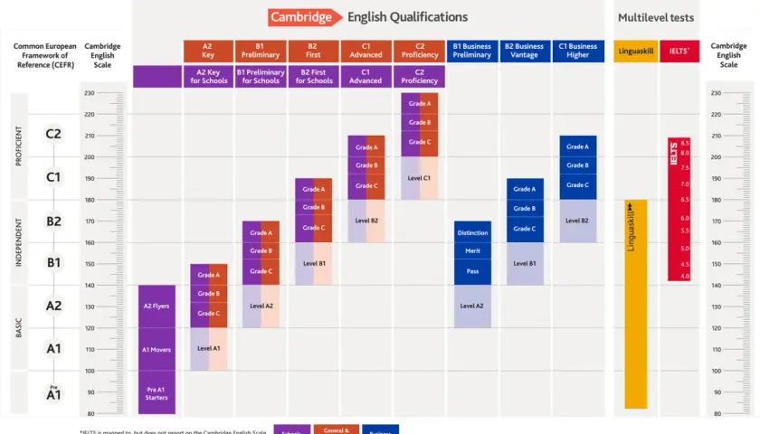 Tabla de niveles de inglés Cambridge. Muestra la equivalencia entre el Marco Común Europeo y los exámenes, ideal como nota para aprobar el First.