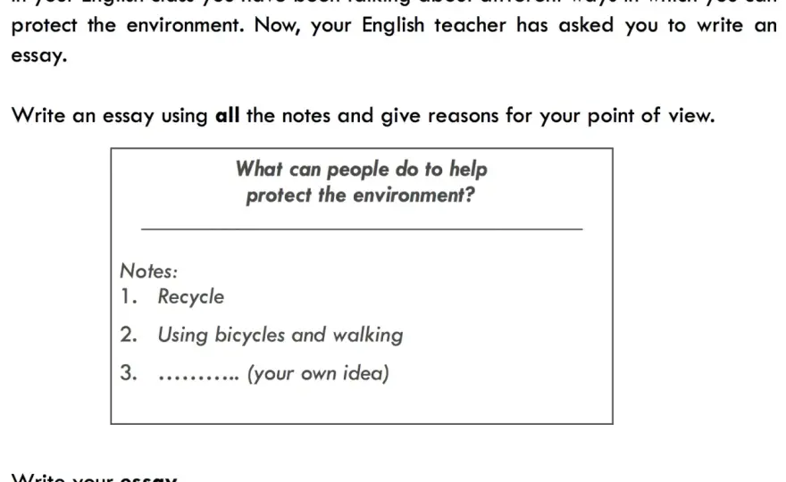 Ejemplo de essay en inglés - guía para escribir uno propio