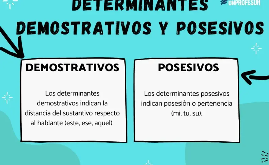 Tipos de determinantes y pronombres con ejemplos claros