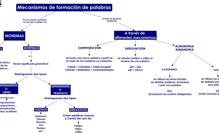 Esquema de morfología para entender cómo se forman las palabras