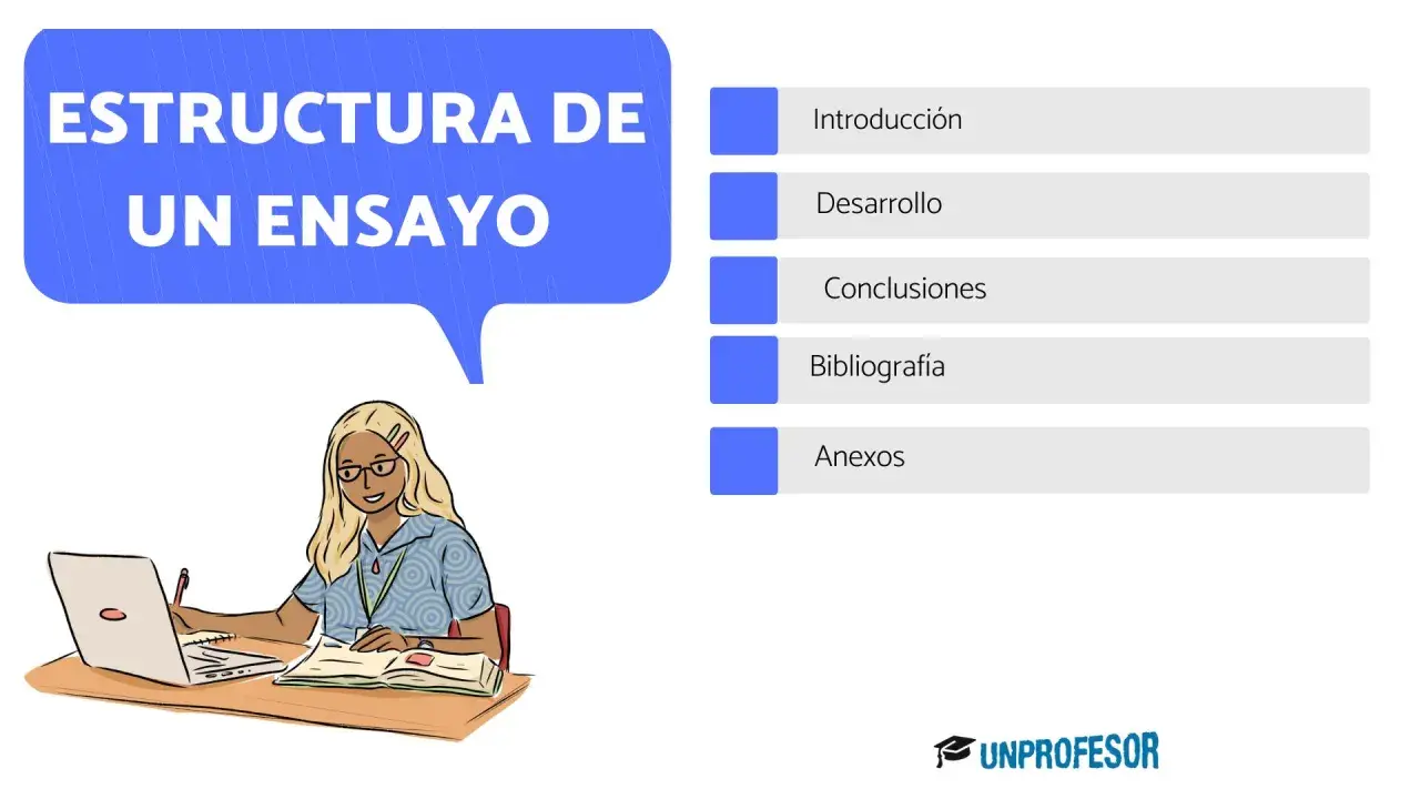 Una estudiante aprende la estructura de un ensayo: introducción, desarrollo, conclusiones, bibliografía y anexos.