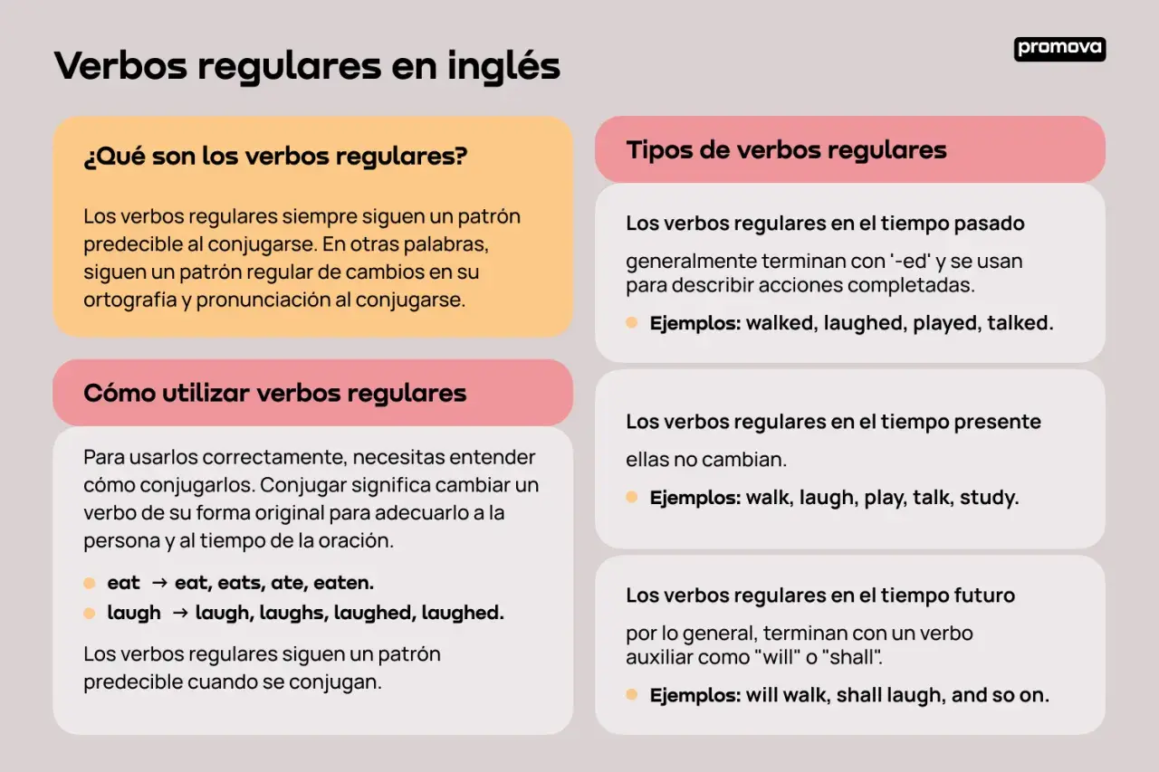Infografía sobre verbos regulares en inglés: qué son, cómo usarlos y tipos (pasado, presente, futuro) con ejemplos.