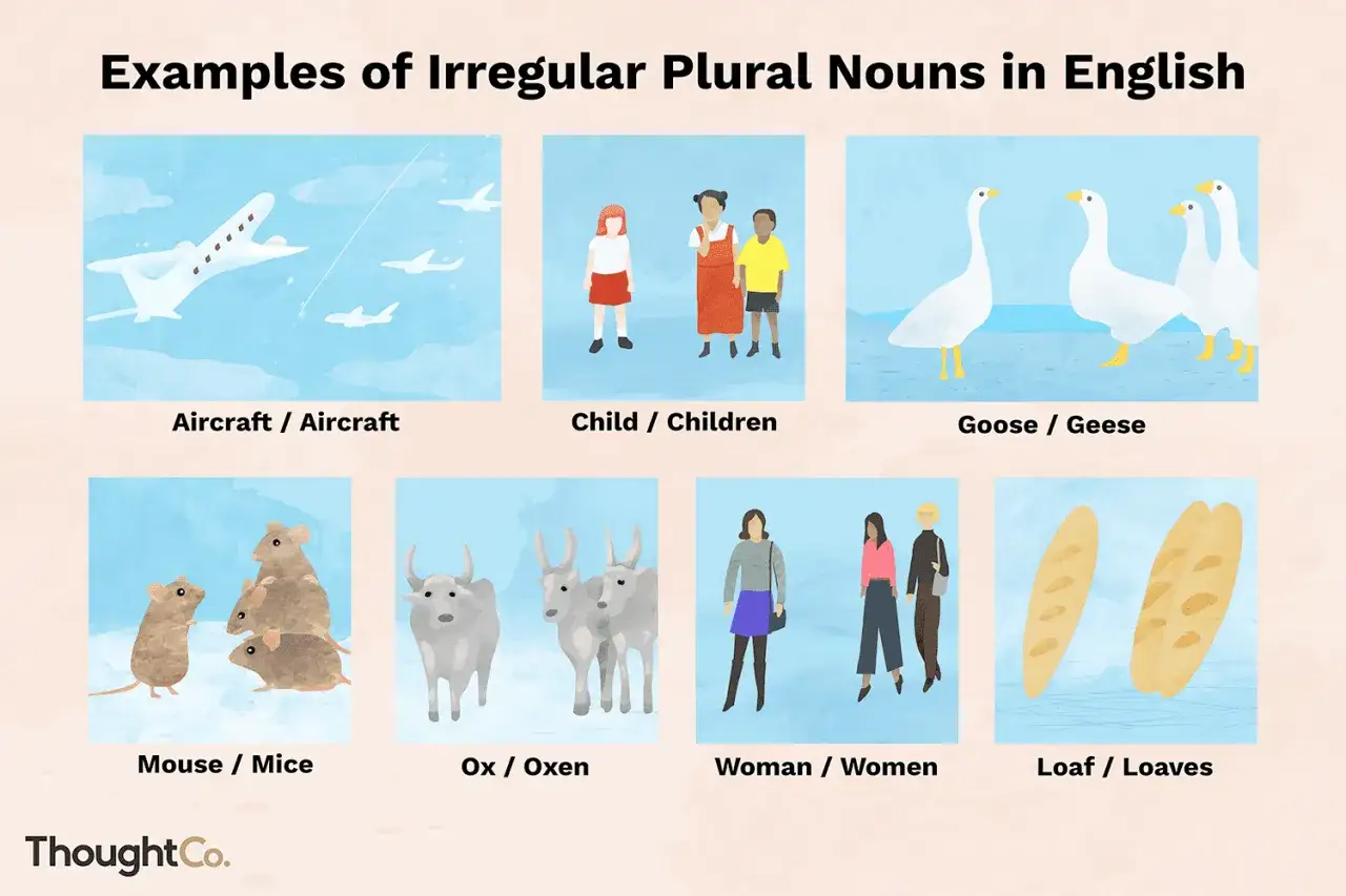 Ejemplos de plurales irregulares en inglés: aircraft, children, geese, mice, oxen, women, loaves.