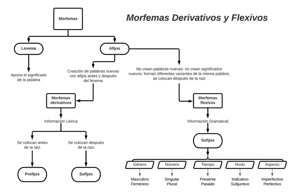 Esquema de morfolog&iacute;a: distingue lexemas, afijos, morfemas derivativos y flexivos, explicando su funci&oacute;n y ubicaci&oacute;n.