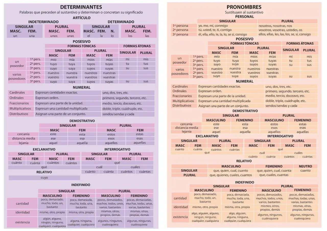 Tipos de determinantes y pronombres: artículos, posesivos, numerales, demostrativos, exclamativos, interrogativos, relativos e indefinidos.